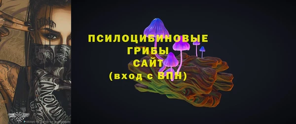 МДПВ Алексин