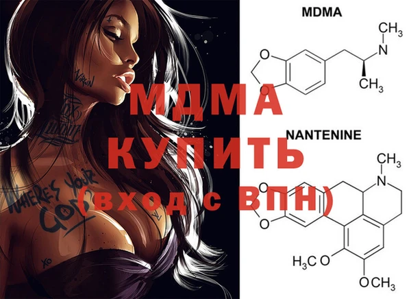 шишки Пересвет