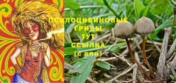 герыч Алзамай