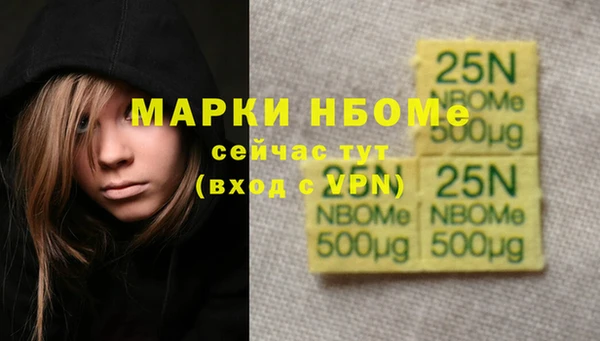 гашик Алексеевка