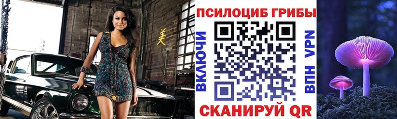 Галлюциногенные грибы GOLDEN TEACHER Зеленокумск